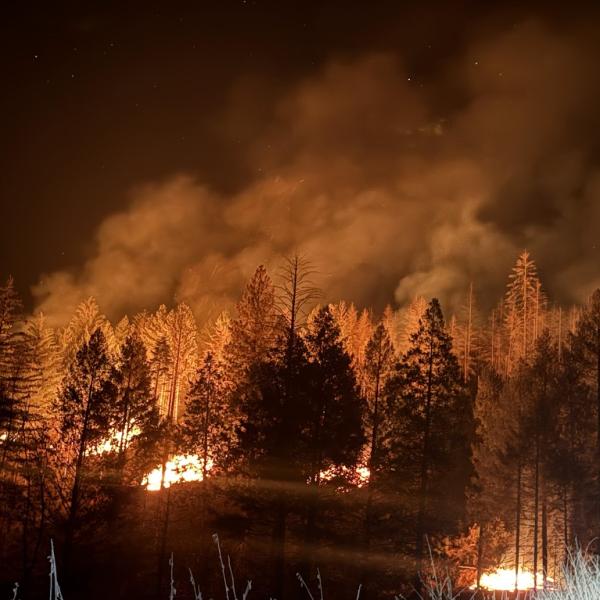 Advancing Forest Health & Wildfire Resilience